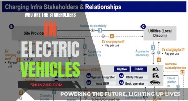 Exploring Stakeholder Interests in the Electric Vehicle Revolution