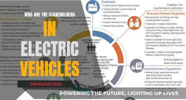 The Electric Vehicle Revolution: Stakeholders and Their Roles