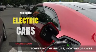 The Shocking History: Who Banned Electric Cars and Why?