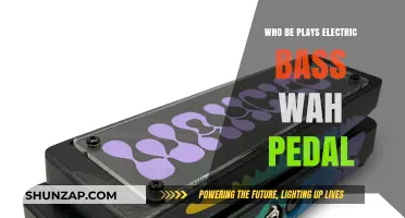 Bass Wah Pedal: Who Uses It?