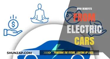 Electric Cars: Who Gains the Most from the Green Revolution?