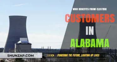 Alabama's Electric Customers: Who Benefits?