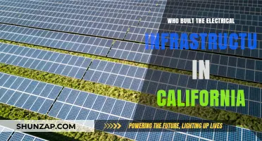 California's Electrical Infrastructure: Who Built It?