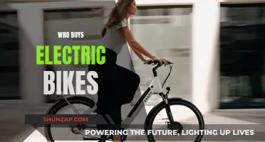 Electric Bike Buyers: Who's Riding the Eco-Friendly Wave?