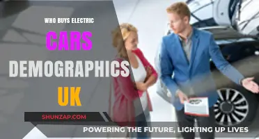 UK Electric Car Buyers: Demographics, Trends, and Insights Revealed