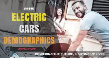 Who Buys Electric Cars? Exploring the Demographics of EV Ownership