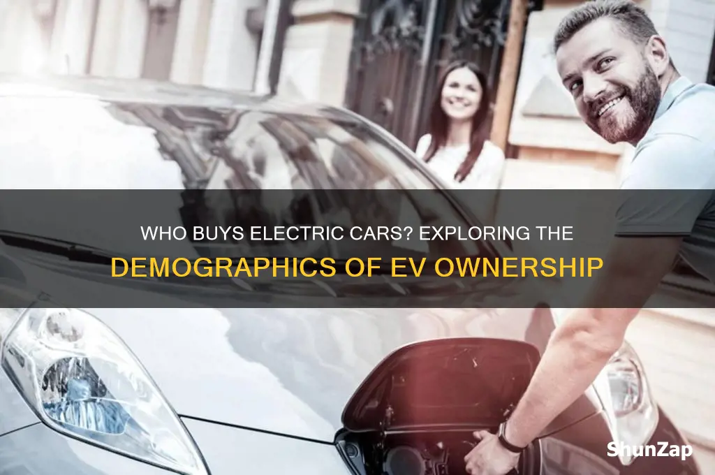 who buys electric cars demographics