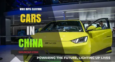 Who Buys Electric Cars in China: Demographics and Trends