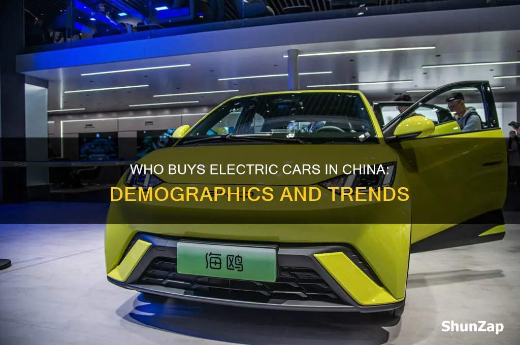 who buys electric cars in china