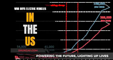 Electric Vehicle Buyers: Understanding the US Market