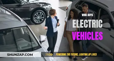 The Growing Market: Who's Buying Electric Vehicles?