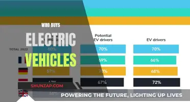 Electric Vehicle Buyers: Understanding the Target Market