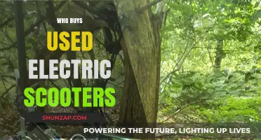 Who Buys Used Electric Scooters? Target Audience Insights Revealed