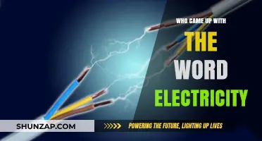 The Origin of the Word Electricity: A Historical Perspective