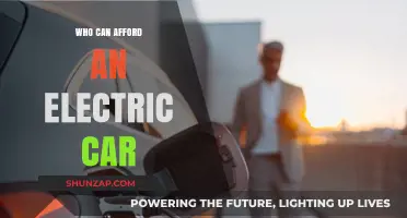 Electric Cars: Who Can Afford the Switch to Green Driving?