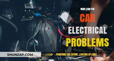 Expert Auto Electricians: Who Can Fix Your Car's Electrical Problems?
