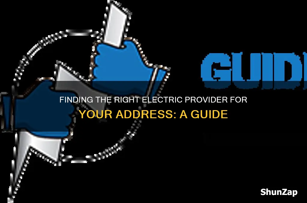who can i use for electric at my address