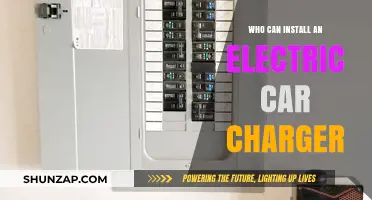 Who Can Install an Electric Car Charger: DIY or Hire a Pro?