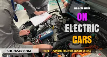 Who Can Work on Electric Cars: Skills, Training, and Qualifications