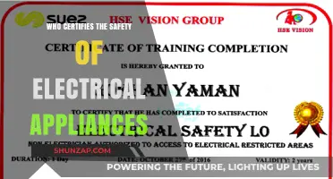 Electrical Appliance Safety: Who's Responsible?