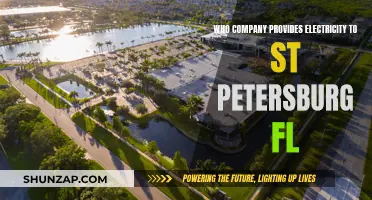 Powering Petersburg: Exploring Tampa Electric's Role in Florida's Energy Landscape