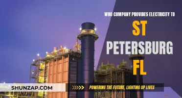 Electricity Providers in St. Petersburg, Florida: Who Powers the City?