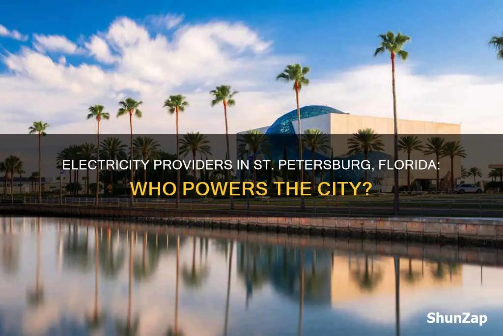 who company provides electricity to st petersburg fl