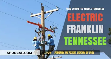 Middle Tennessee Electric: Who's the Competition?