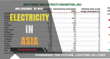 Energy Consumption in Asia: Who Leads the Pack?