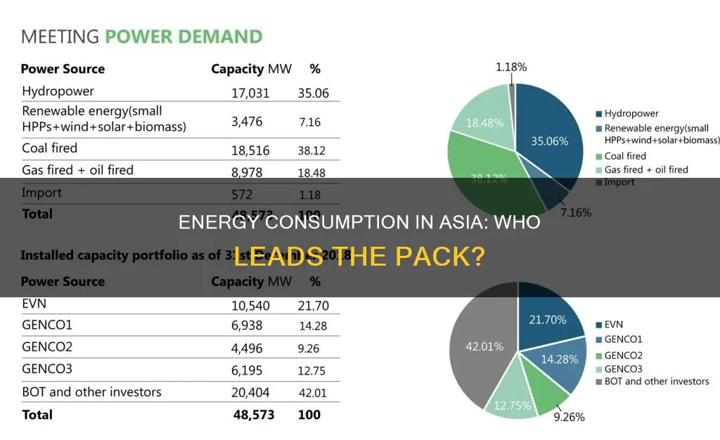who consumes the most electricity in asia