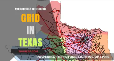 Texas Electricity: Who Controls the Grid?