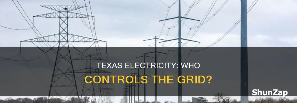 who controls the electric grid in texas