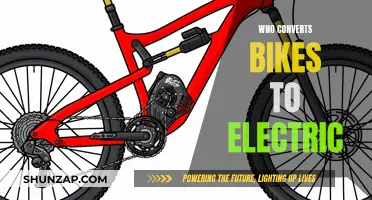 Electric Bike Conversion: Who Can Electrify Your Ride?