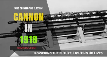 Electric Cannon: The Brain Behind the Invention