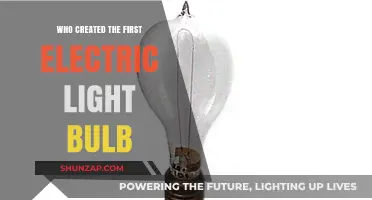 The Electric Light Bulb: Who Was the True Inventor?