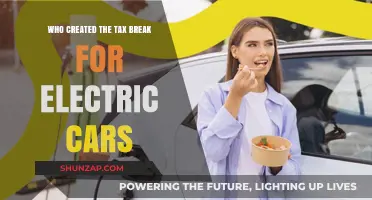 Who Created the Tax Break for Electric Cars?