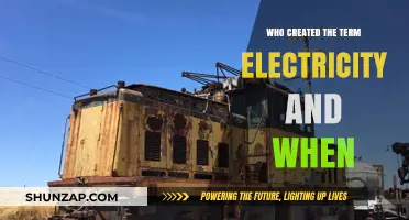 The Coining of "Electricity": A Historical Perspective