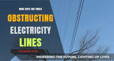 Electricity Line Tree Trimming: Who's Responsible?