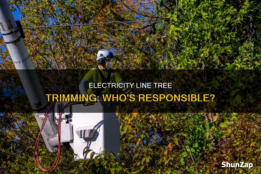 who cuts the trees obstructing electricity lines