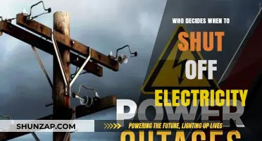 The Power to Decide: Electricity Shutdowns