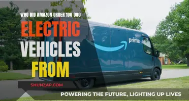 Amazon's Electric Vehicle Mystery: Who's the Supplier?