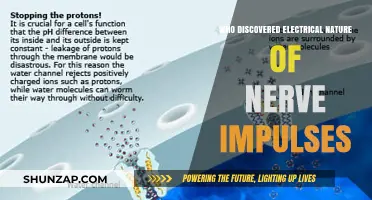The Electric Nerve Impulse: A Historical Discovery