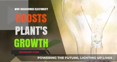 Electricity's Botanical Boost: A Historical Discovery
