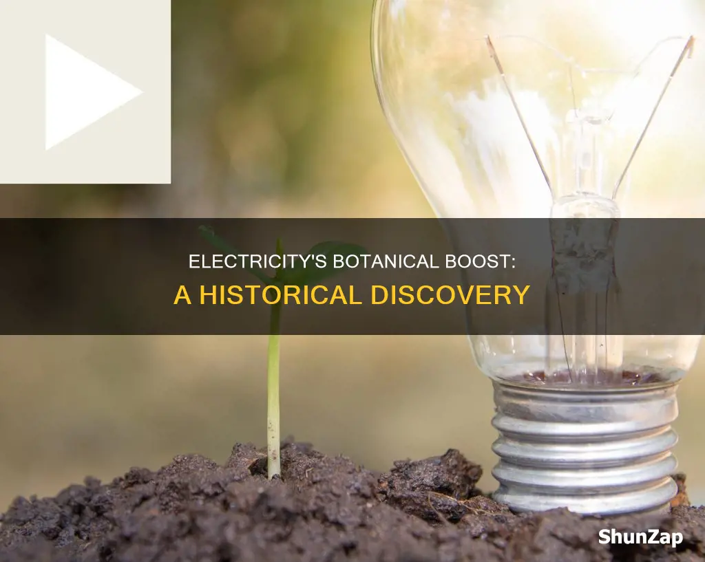 who discovered electricity boosts plant