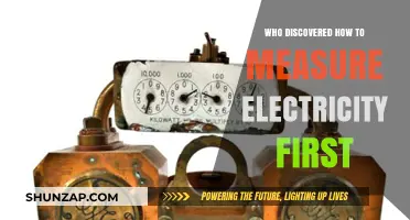 The First Electric Measurements: A Historical Perspective