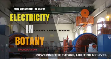 Electricity's Botanical Breakthrough: Unveiling the Pioneer Behind the Discovery