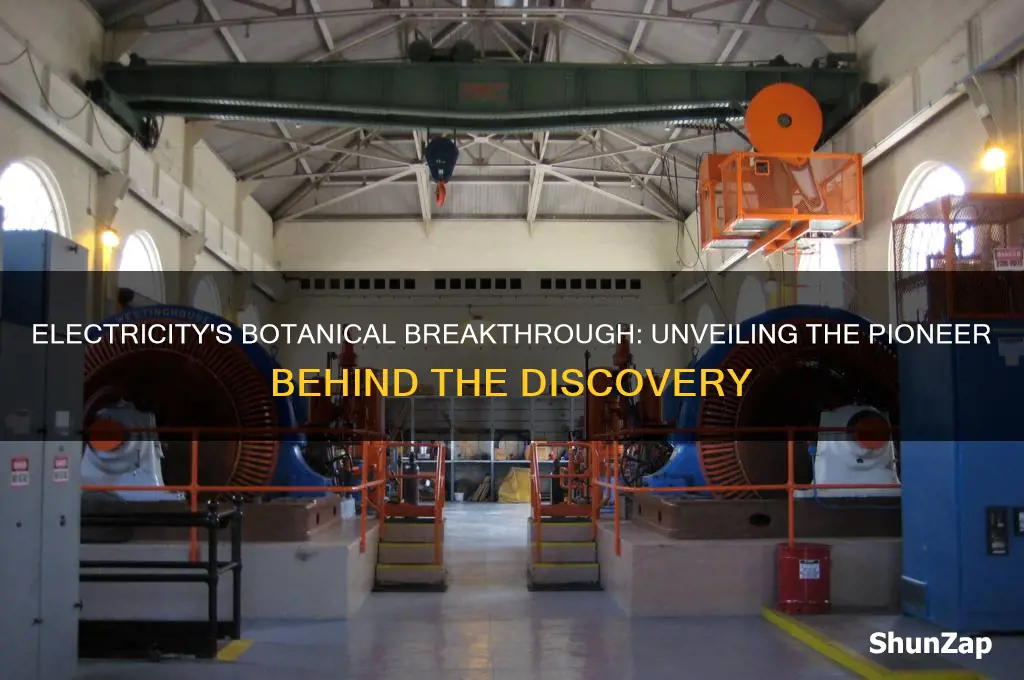 who discovered the use of electricity in botany