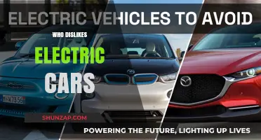 Who Dislikes Electric Cars? Exploring Critics and Their Concerns