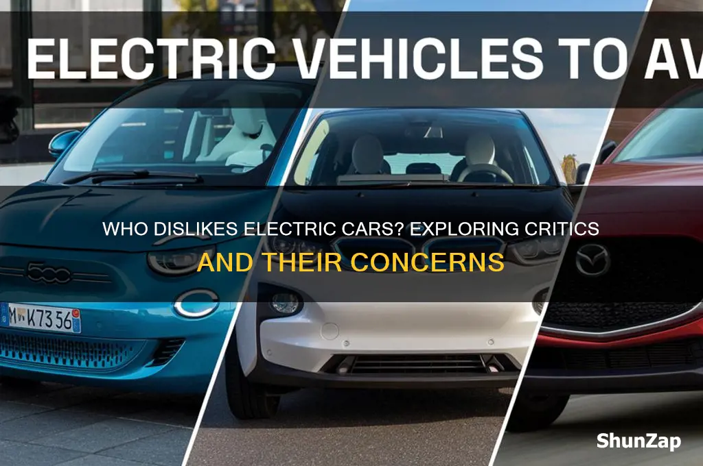 who dislikes electric cars