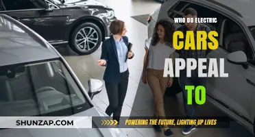 Who Buys Electric Cars? Understanding the Target Market and Appeal